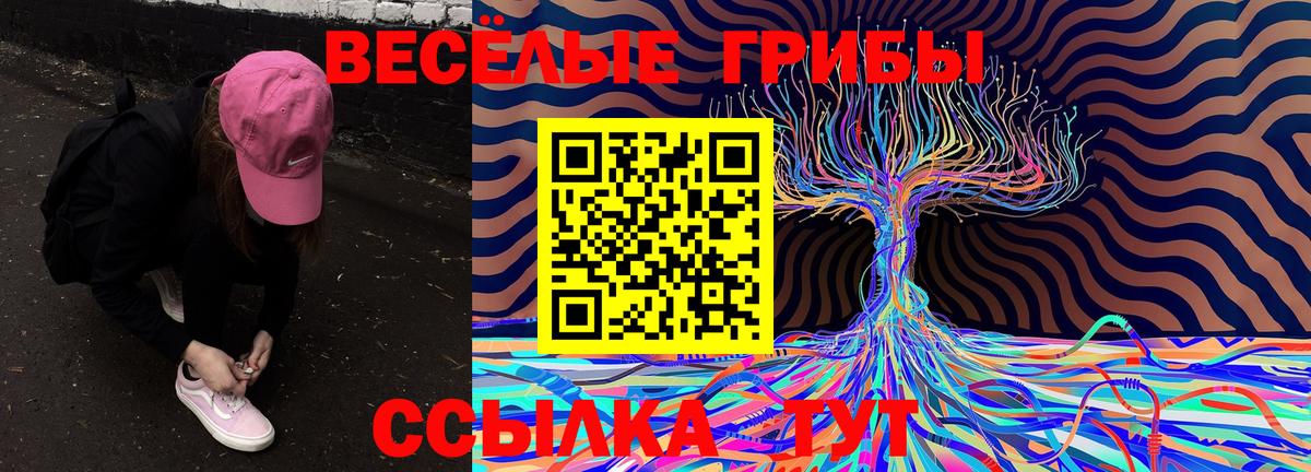 Псилоцибиновые грибы Magic Shrooms Майский