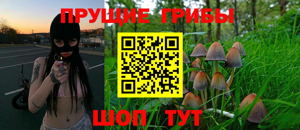 Псилоцибиновые грибы Psilocybine cubensis  где найти   Майский  Вход с VPN 